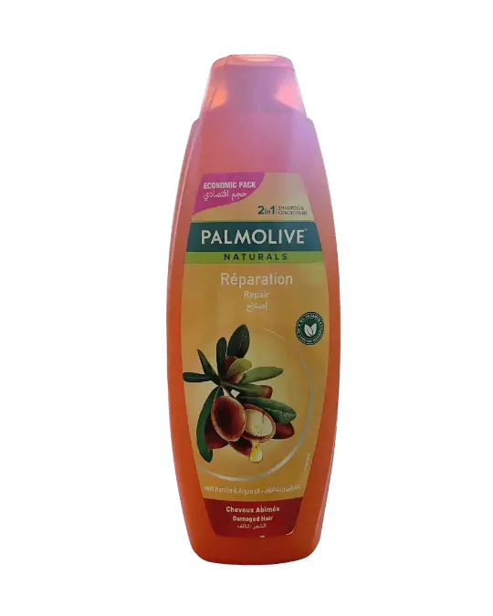 Shampoo 600 ml Palmolive 2 IN1 ARGAN